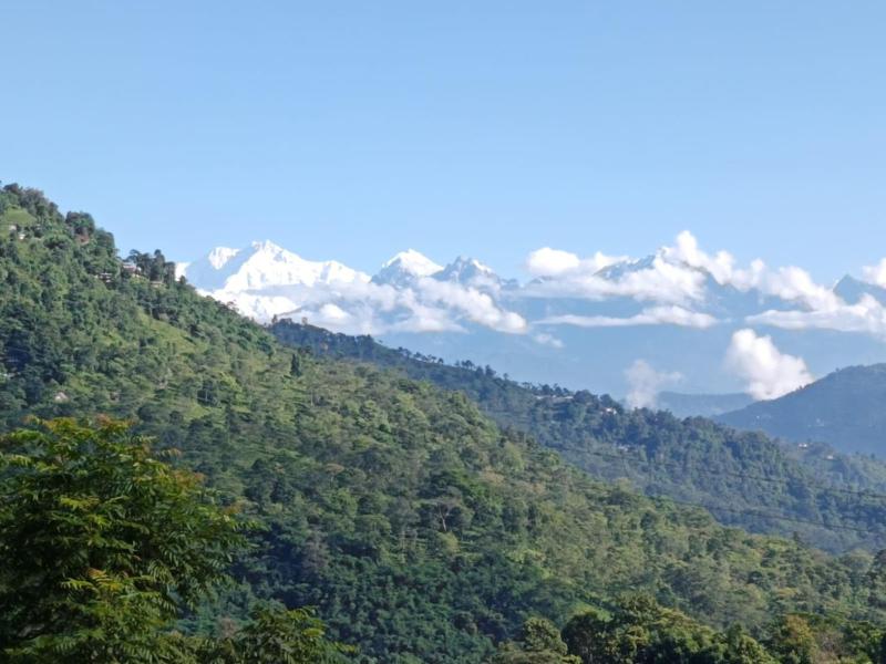 Shantikunja Homestay - image 11