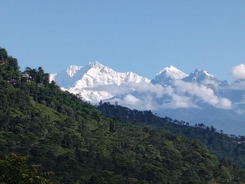Shantikunja Homestay - image 6
