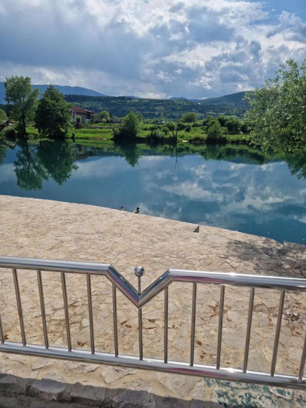 Villa Lila - image 11