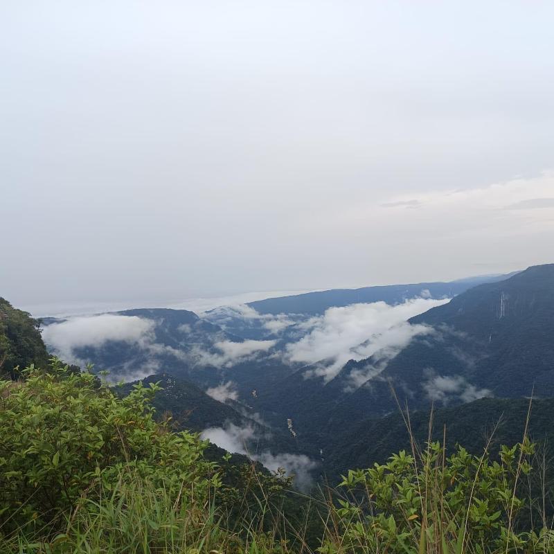 Zinnia Homestay - image 11