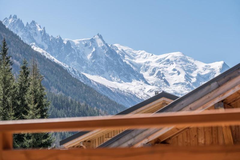 Large chalet for 10 with Mont Blanc's view - image 30