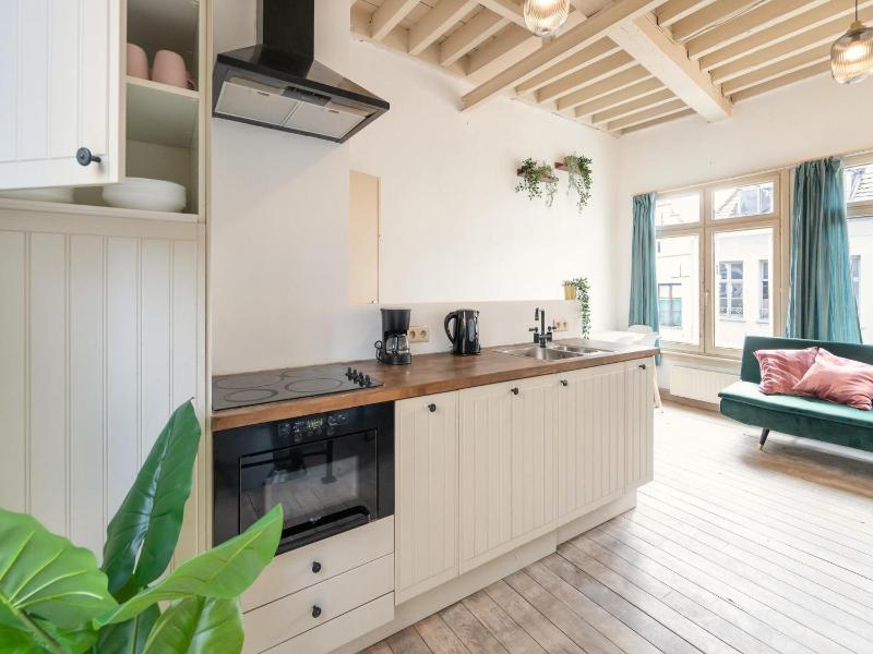 Temple Triplex Spacious Apartment - image 12