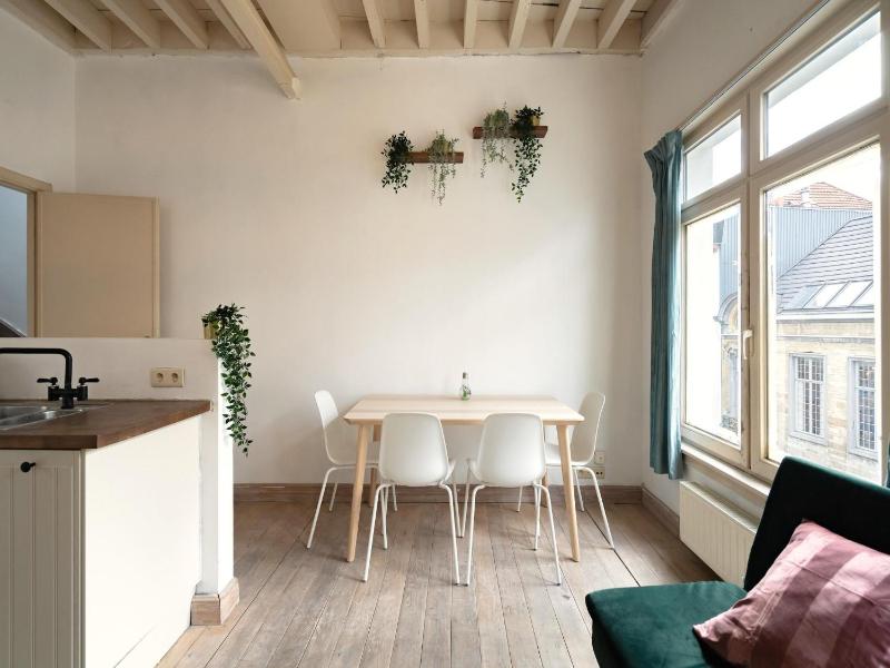 Temple Triplex Spacious Apartment - image 10
