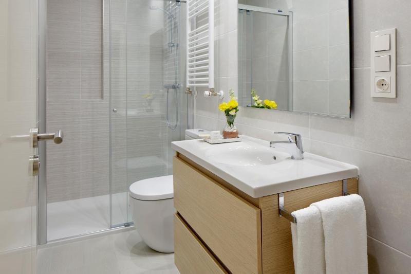 One-Bedroom Apartment image 4