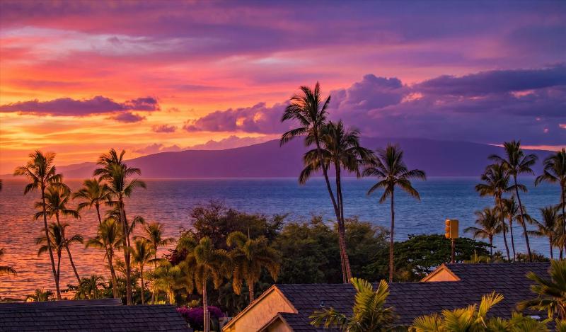 Surf Song 203 Villa At Wailea Elua Beach Resort - image 27