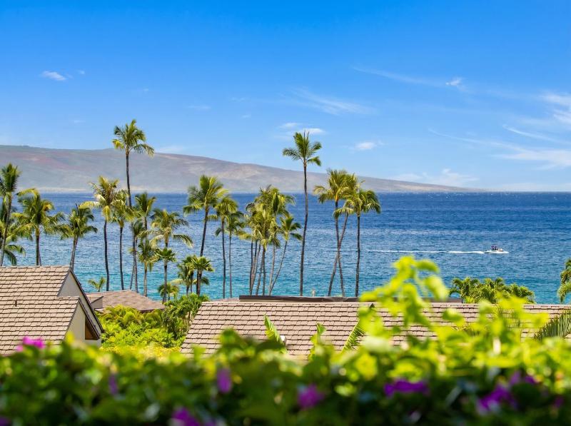 Surf Song 203 Villa At Wailea Elua Beach Resort - image 33
