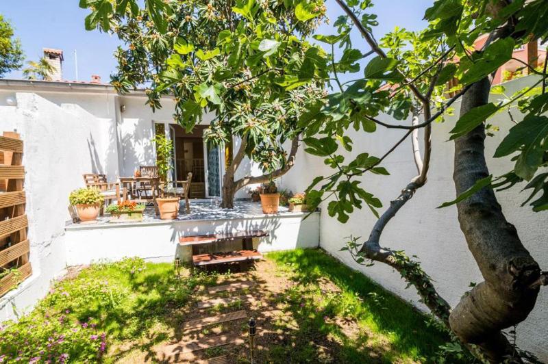 Apartments Tellus - image 31