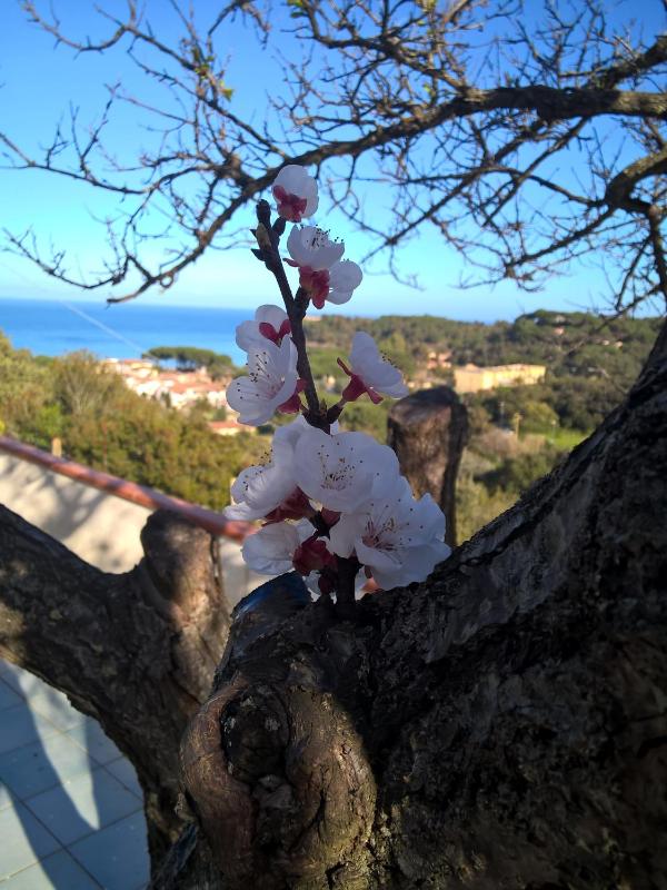 Elba Residence - image 24