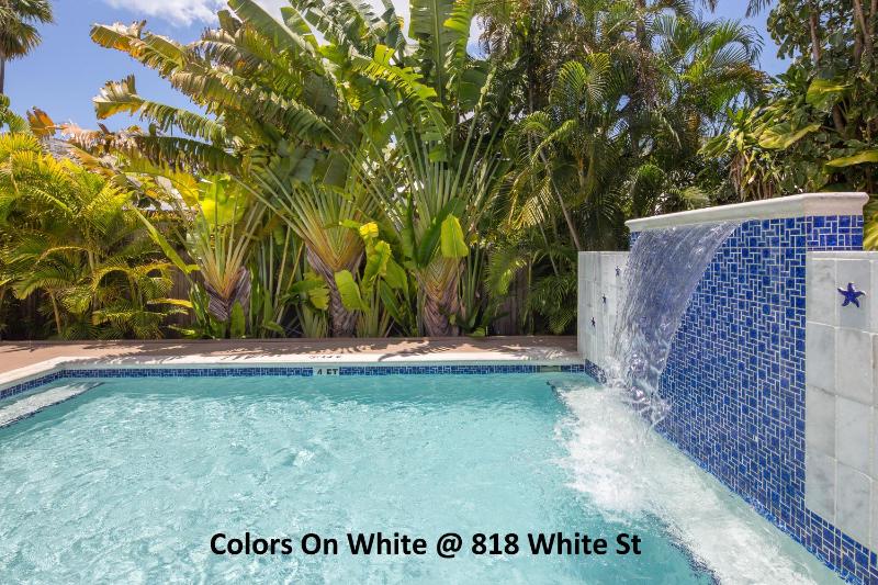 Colors on White - image 11