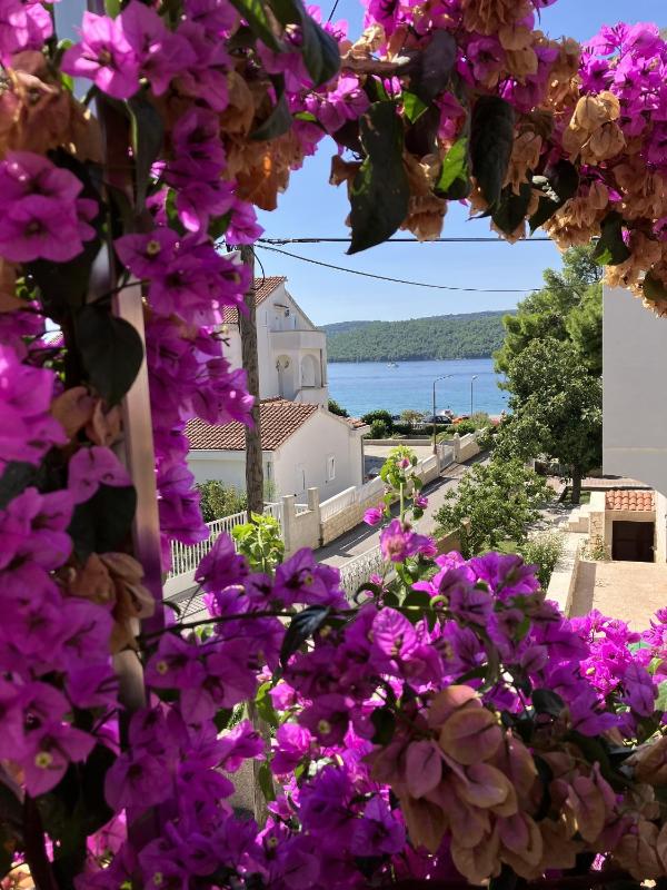 Apartments by the sea Zablace Sibenik - 25841 - image 8