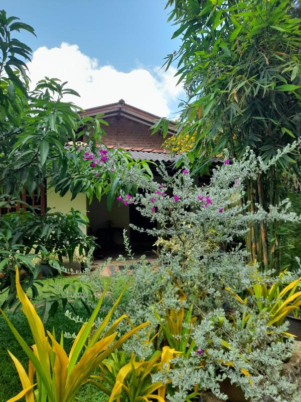 KADUPUL Hiriketiya - image 13