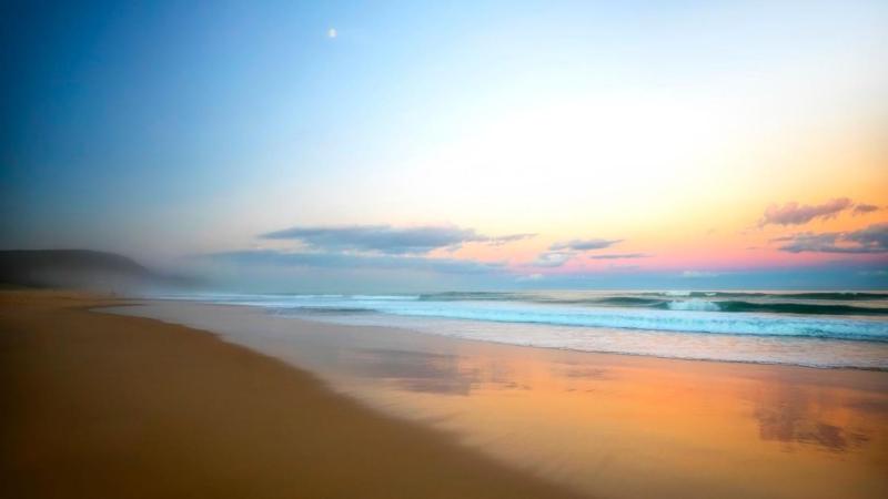 Sunshine Beach Coastal Haven - image 9