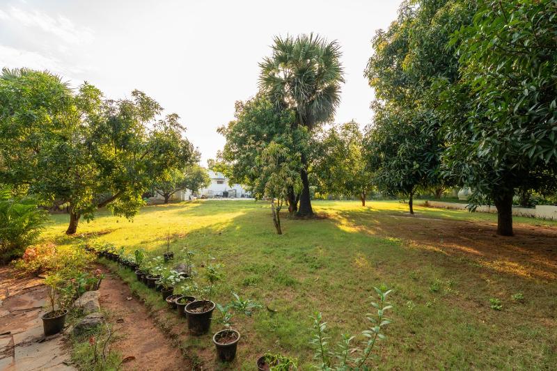 SaffronStays Yutori - image 12