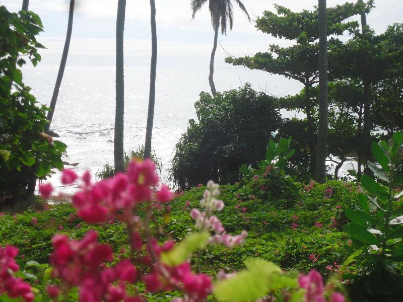 Masha Beach Inn - image 34