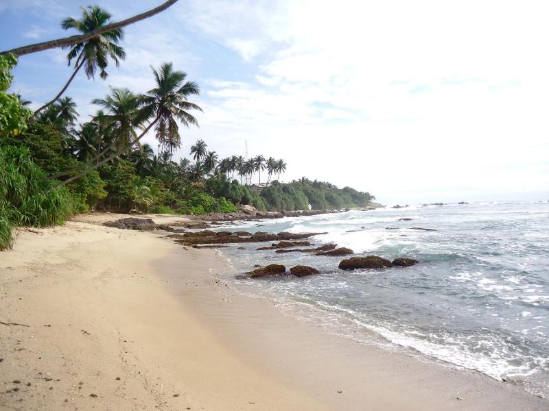 Masha Beach Inn - image 40