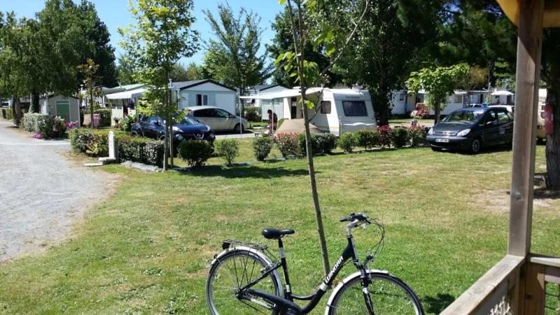 Camping 3 etoiles - Piscine - ccbgdcb - image 14