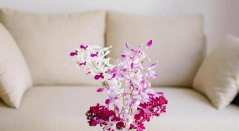 Anh Thao Hotel - image 30