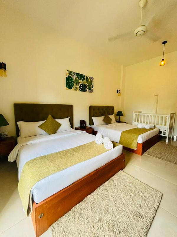 Blue Bird Hotels - image 30