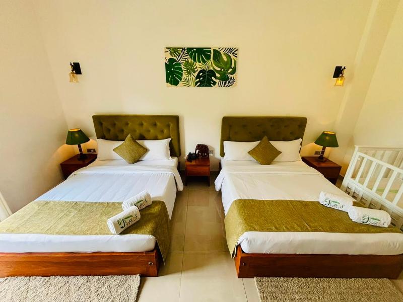 Blue Bird Hotels - image 19