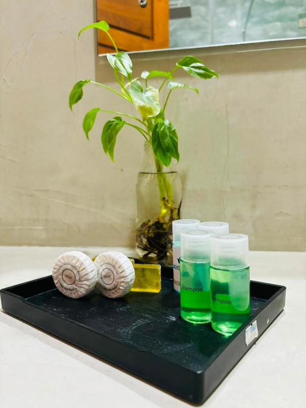 Blue Bird Hotels - image 49