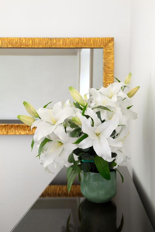 Charm & Elegance off Via Veneto 2BR 2BA - image 12