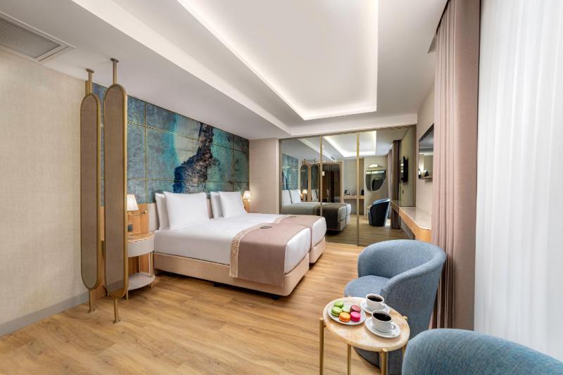Shirisha Hotel Istanbul - image 11