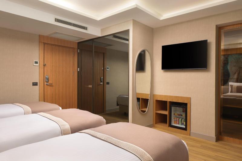Shirisha Hotel Istanbul - image 4