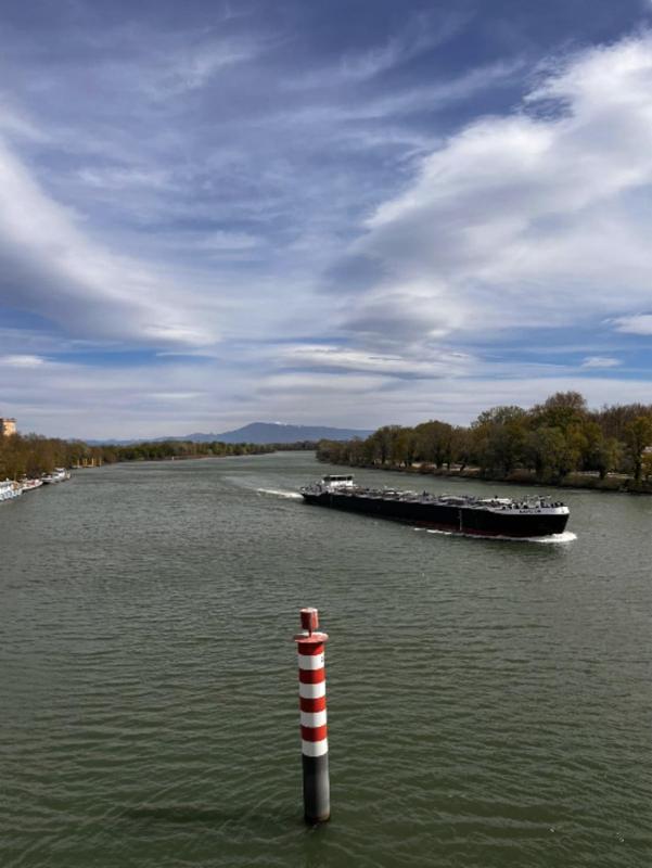Charming T2 in the heart of Avignon - image 22
