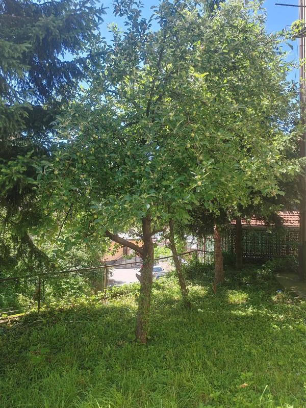Cozy Stay Sarajevo - image 12