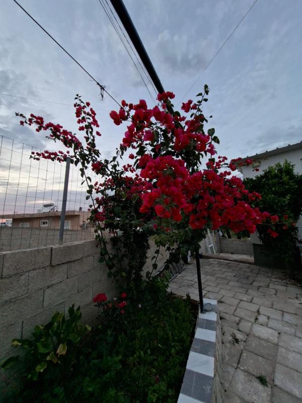 Villa Semana Ksamil - image 6