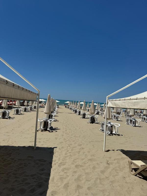 Modern Oasis - 5-Min Walk to Beach - image 6