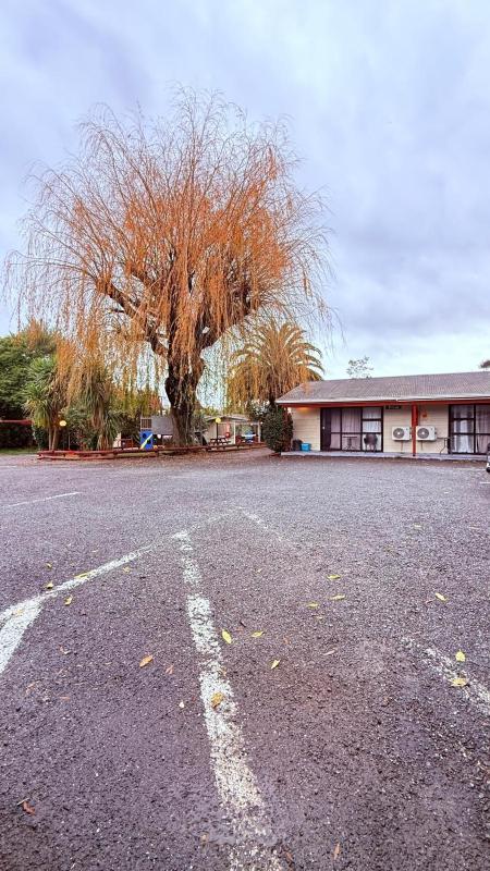 Camellia Court Family Motel - image 44