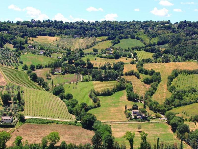 Bright Holiday Home in Umbria with Pool - image 36