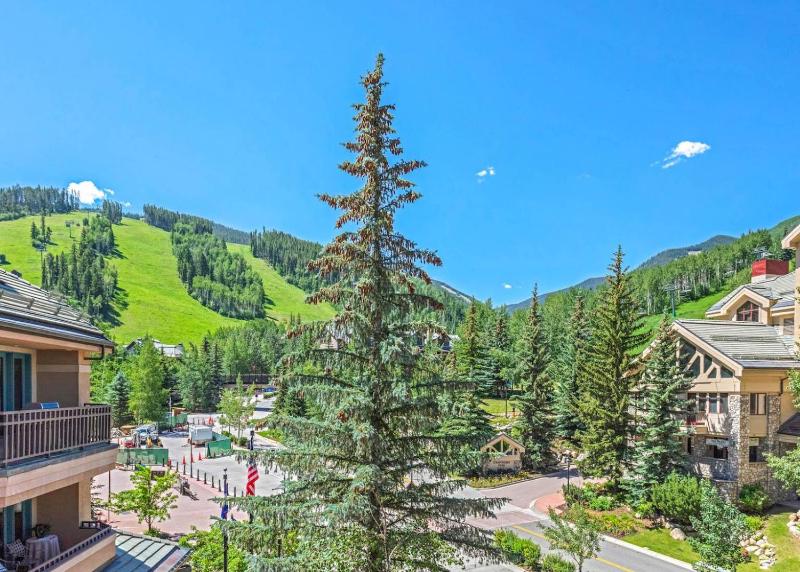 323 Beaver Creek Lodge - image 7