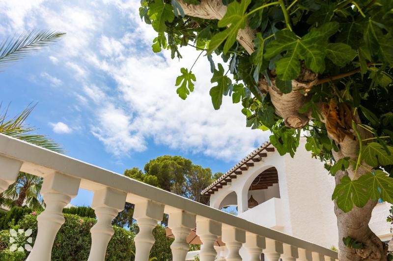 Villa Pura Vida by Abahana Villas - image 15