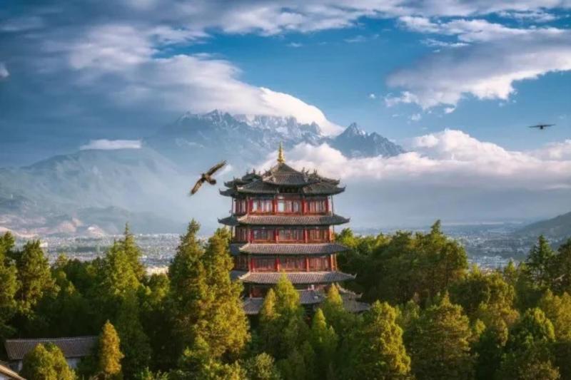古城区梅花三弄丨咖啡畅饮丨供氧独栋别墅丨庭院丨 - image 7