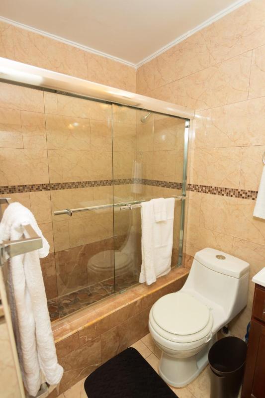 The Dorchester - image 15