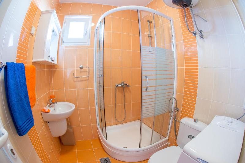 One-Bedroom Apartment image 4