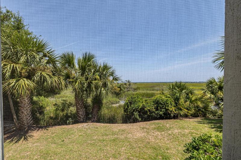 Birds Eye View - image 6