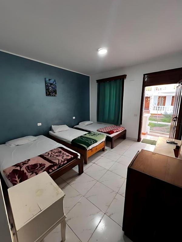 Octopus Hotel - image 42