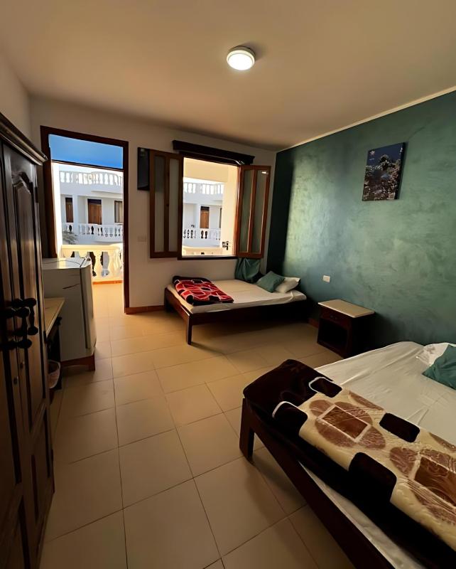 Octopus Hotel - image 43