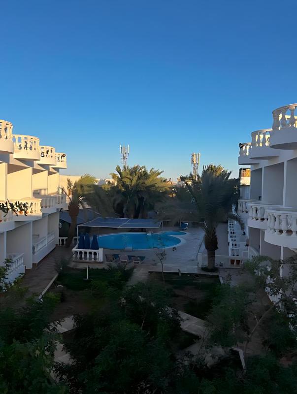 Octopus Hotel - image 21