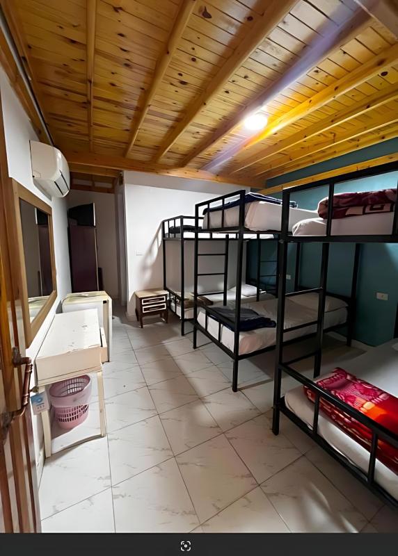 Octopus Hotel - image 38