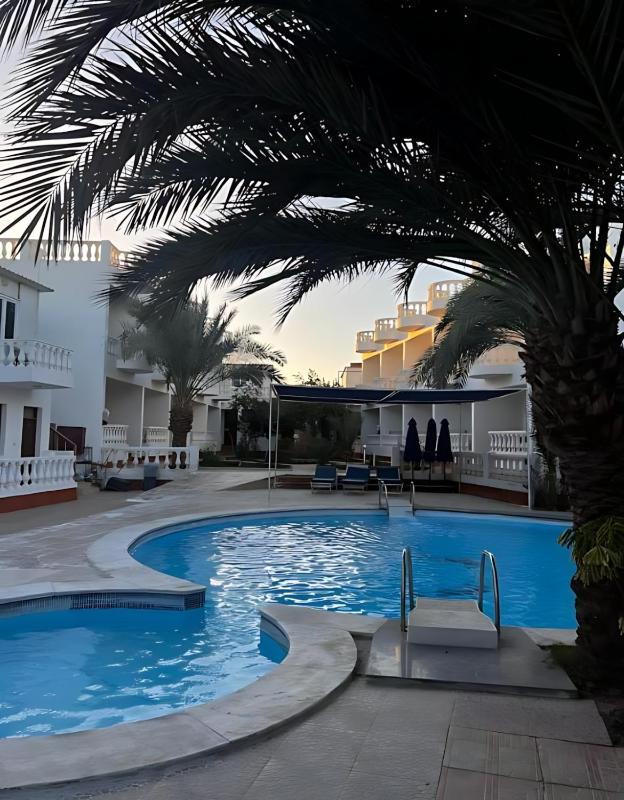 Octopus Hotel - image 32