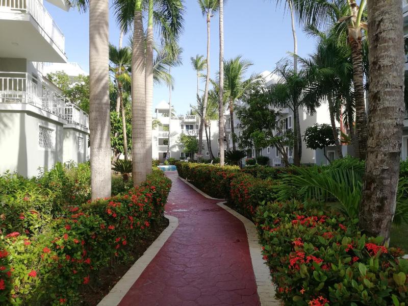 MIRABELLA SOL CARIBE SUITES playa LOS CORALES - image 5