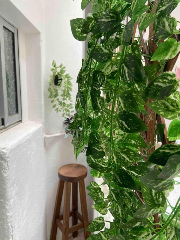 Vintage 2 bedrooms and garage close to everything - image 13