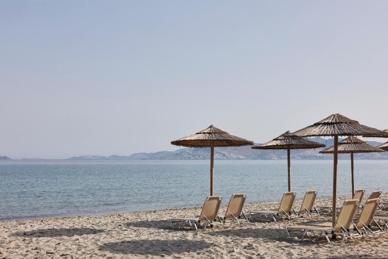 Atlantica Thalassa Hotel - image 12