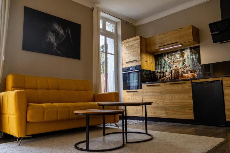 Appartement en centre ville Jacuzzi & parking - image 17