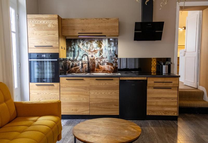 Appartement en centre ville Jacuzzi & parking - image 12