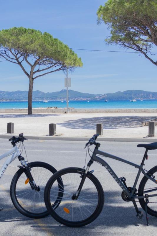 Plage à 20 m - Grande terrasse - Parking privé - image 13